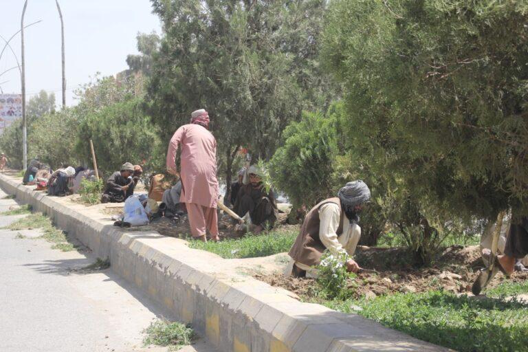 در پروژۀ «آبادی» در شهر قندهار برای ۸۴۰ تن زمینۀ کار فراهم شده است