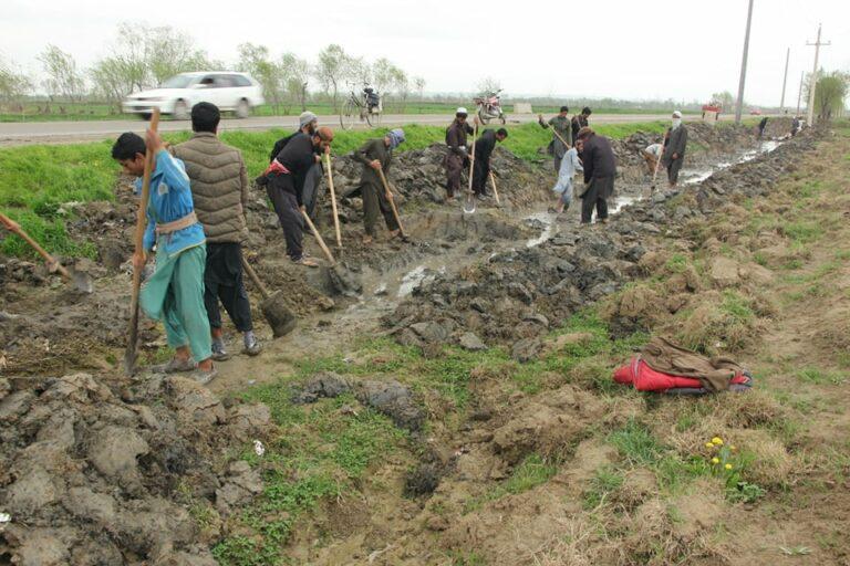 در کندز ۱۴۰۰ تُن گندم برای کارگران برنامۀ کار در بدل غذا، توزیع مى‌شود