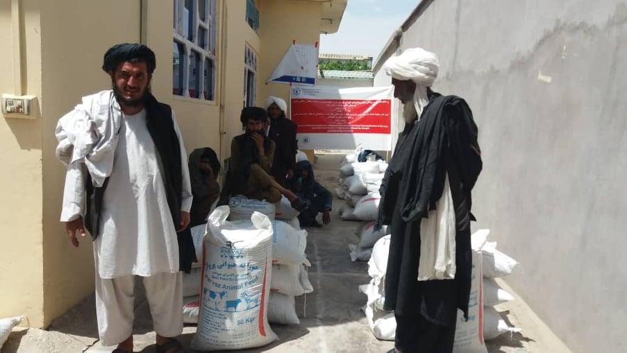 په اروزګان کې له ۲ زره کوچیانو سره د څارویو لپاره د خوراکي توکو مرسته وشوه