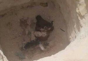 په سمنګان کې په  دوو جلا پېښو کې دوه کسان وژل شوي