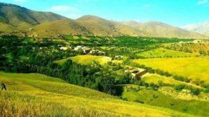 دایکنډي کې یوې ښځې ځانوژنه کړې ده