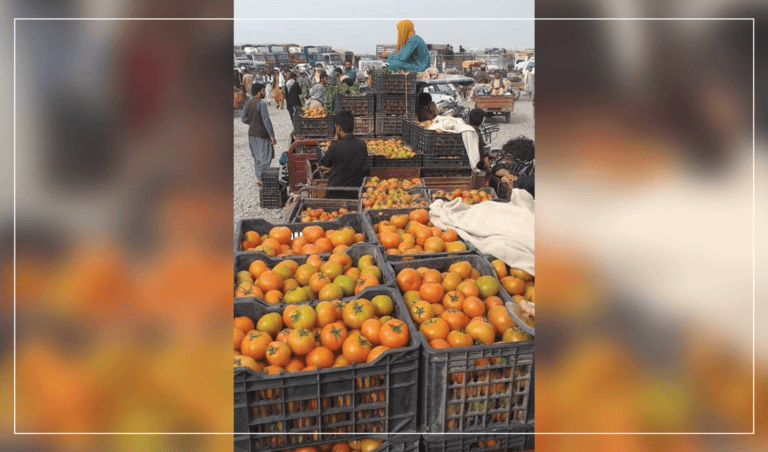 د فراه بزګر: له ایرانه وارداتو مو د محصولاتو بازار خراب کړی
