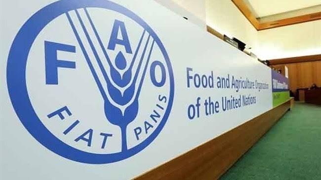 2.6m people assisted in Afghanistan last year: FAO
