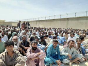 ۵۰۰ تن در نیمروز از اعتیاد نجات یافتند
