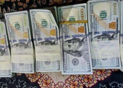 Attempt at smuggling $600,000 to Pakistan foiled