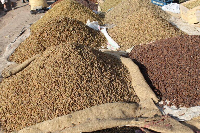 Fresh, dried fruits worth $331m exported from Kandahar