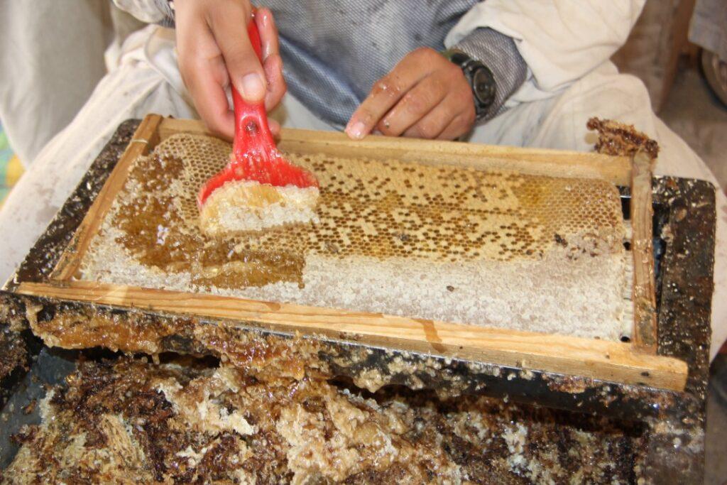 امسال حدود ۶۰۰ متریک تُن عسل در ننگرهار تولید خواهد شد