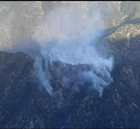 آتش‌سوزی در جنگل شام‌دره در نورستان رخ داده است
