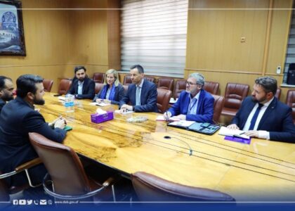 Pasarlai, Niklasson discuss matters related to banking sector  