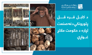 Karakul business owners urge govt support