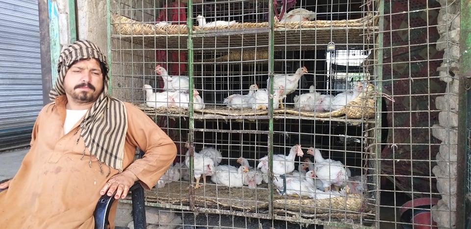 Dwindling demand shuts 700 poultry farms in Khost
