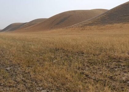 Kunduz drought: Most of rain-fed wheat crop parched