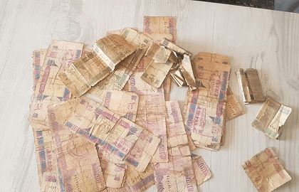 Circulation of old banknotes worries Farah residents