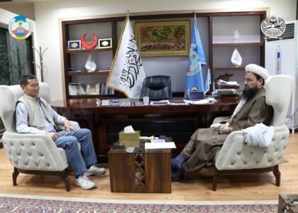 Chinese company to invest in Afghan power projects