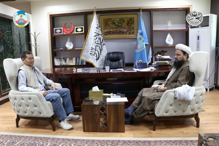 Chinese company to invest in Afghan power projects