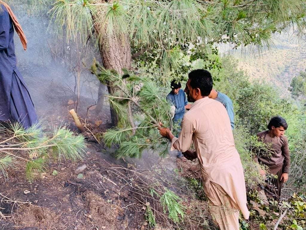 Residents put out pine nut forest blaze in Khost