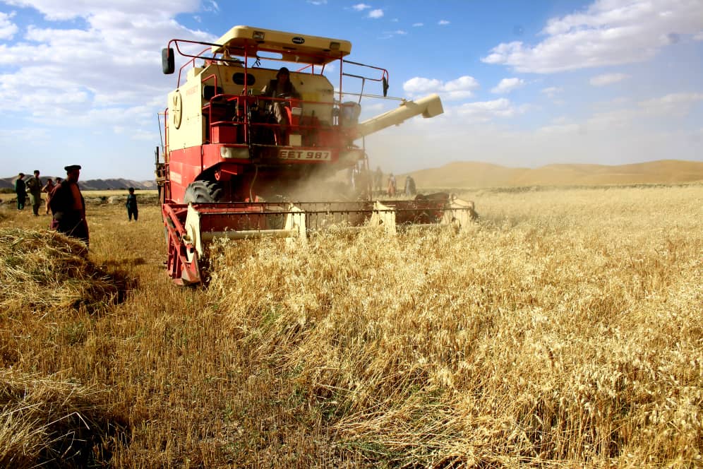 Threshing machine called in for wheat cutting in Faryab