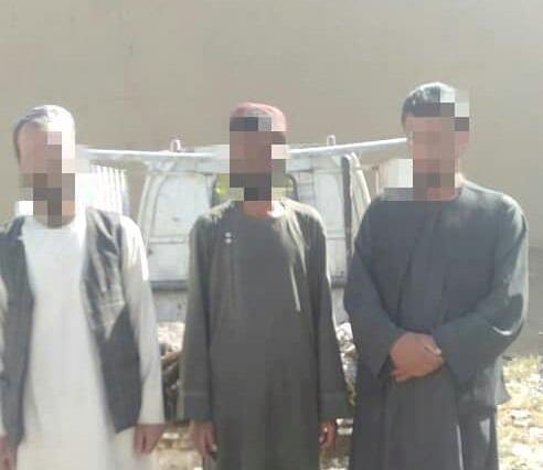 3 men arrested for selling dead animals meat in Paktia