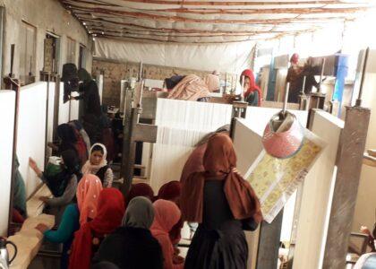 برای صدها زن در بامیان از طریق پروژۀ قالین‌بافی زمینۀ کار مساعد گردیده‌است