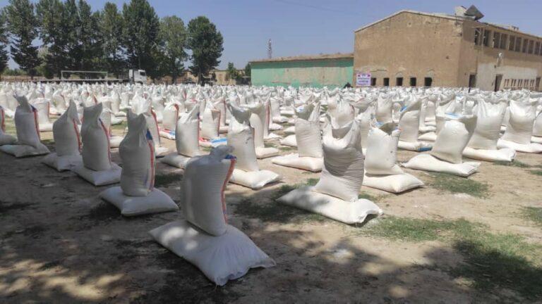 بغلان کې پر ۷۵۰۰ کروندګرو د غنمو اصلاح شوى تخم او کیمیاوي سره ووېشل شوه
