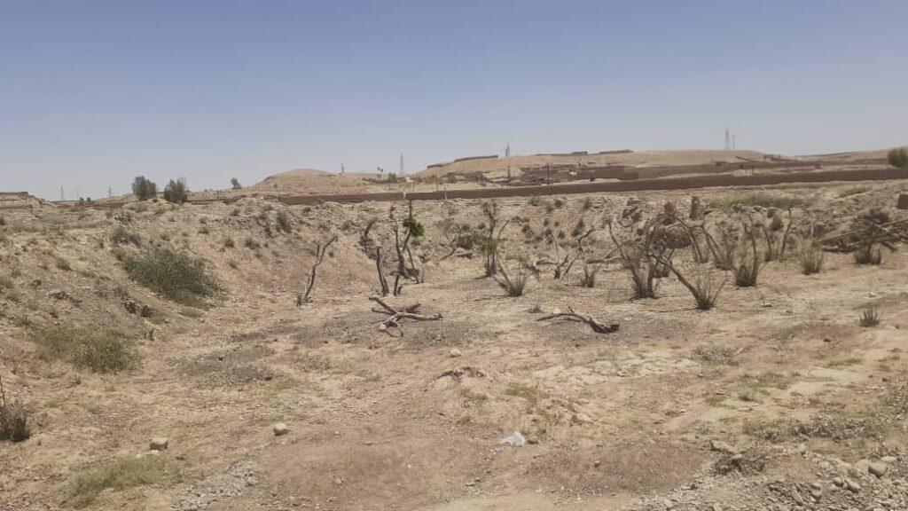 Drought, past conflict hit hard our orchards: Sangin residents