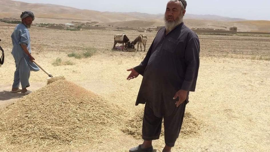 10m afs worth wheat collected as usher in Takhar