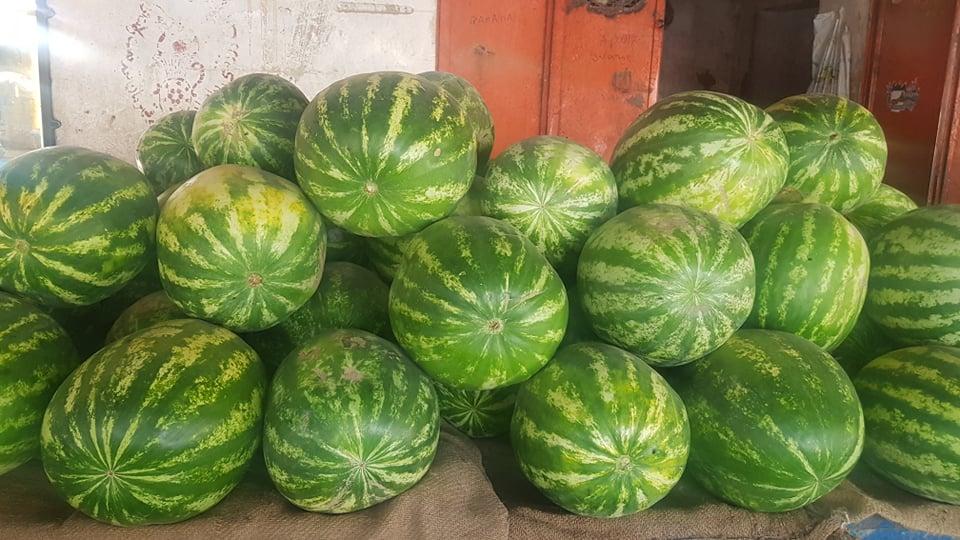 Watermelon yield in Farah reaches 500,000 tonnes