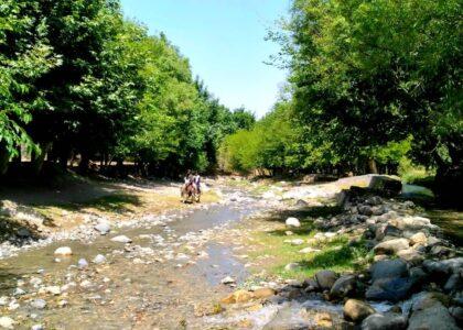 7 small dams to be built in 5 Nangarhar districts: Official