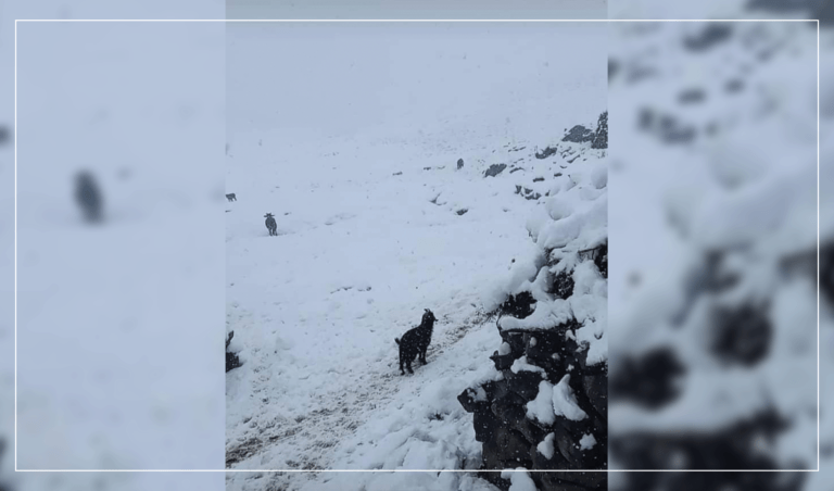Panjsher: Avalanches shut roads in districts