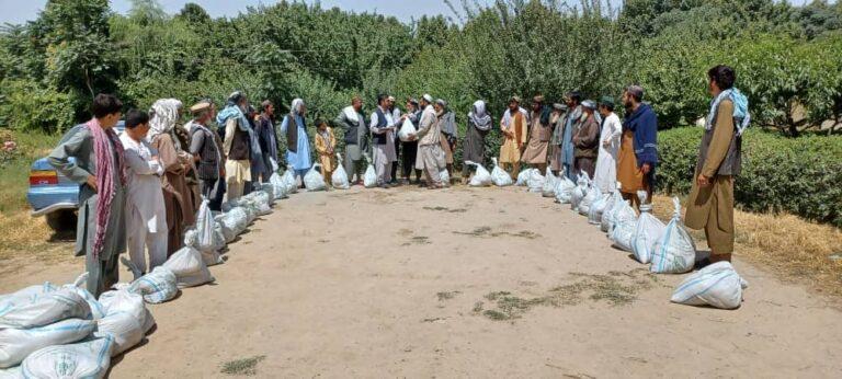برای ٢٠٠ دهقان در کندز تخم‌های اصلاح شدۀ سویابین توزیع شد