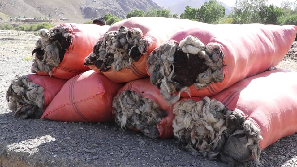 Maidan Wardak wool traders want market for their product
