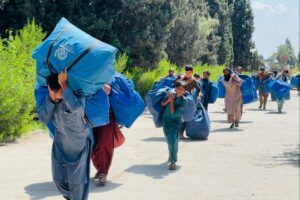 Natural disasters, conflict displace 1.8 million people: IOM