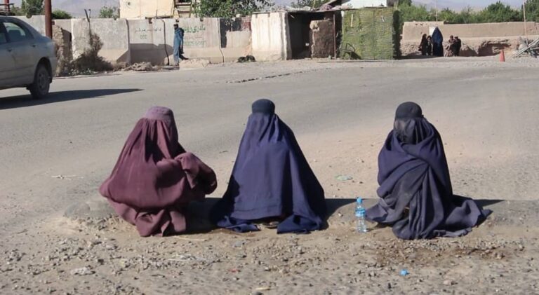 د اروزګان له مرکز ترینکوټ ښاره سلګونه سوالګر ټول شوي