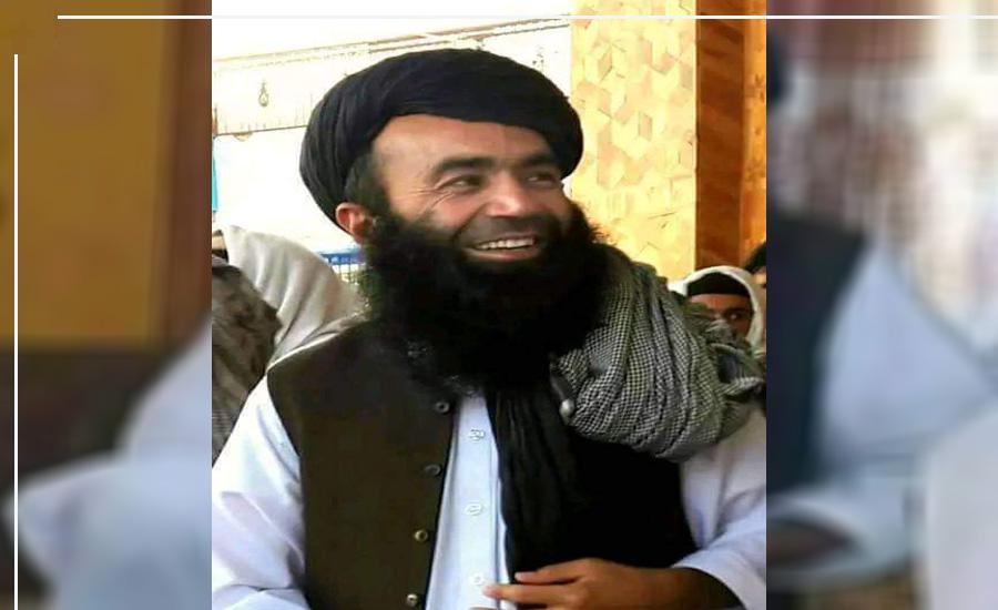 د استخباراتو لوی ریاست وايي د شیخ سردار ولي په وژنه کې «خوارجو» لاس درلود