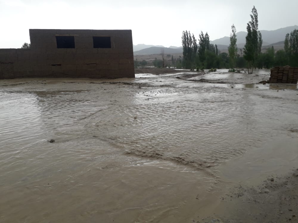 Nature’s fury: 11 killed, injured in Ghazni floods, storm