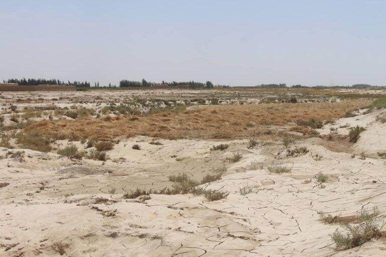 Floods destroy crops on hundreds of acres of land in Paktika