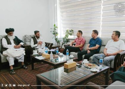 Chinese company ready to invest in Afghan mining sector