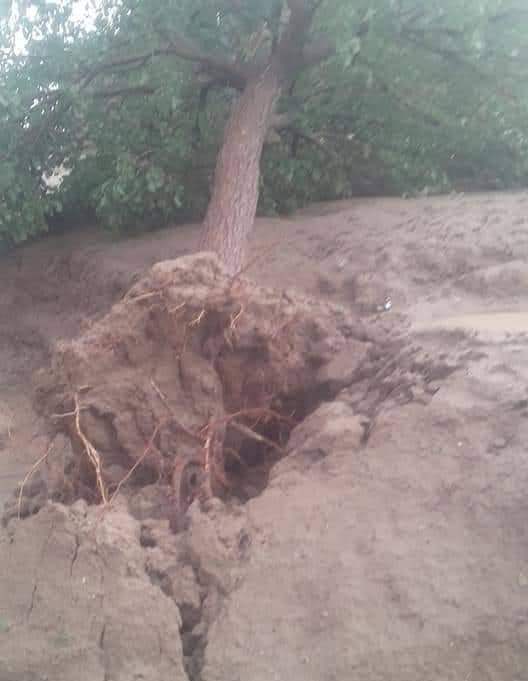 د غزني په مقر ولسوالۍ کې تېز باران او توپان خلکو ته ځاني او مالي زیانونه اړولي دي