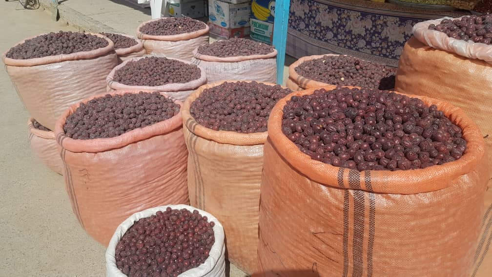 Farah produces jujube fruit worth 1.25b afghanis