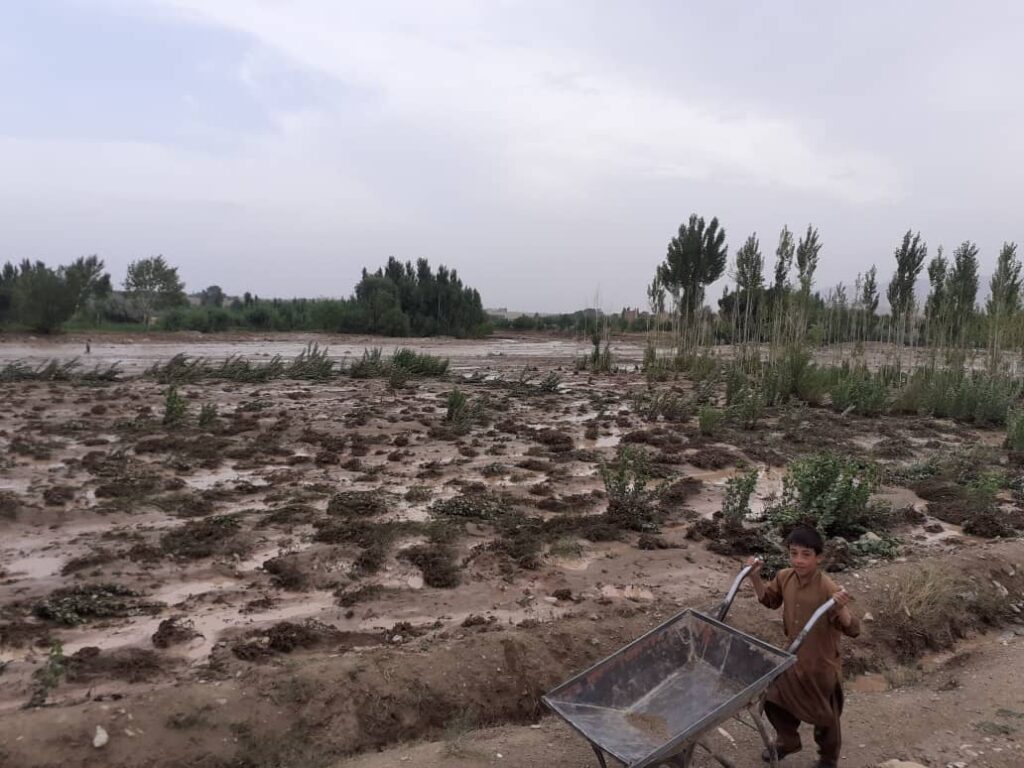 Orchards on 1,000 acres of land hit by floods in Wardak