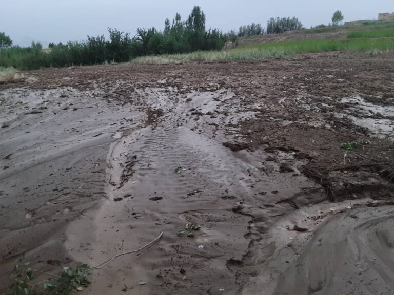 سیلاب‌های روز گذشته در میدان وردک ۳۰ خانۀ مسکونی را تخریب کرده‌است