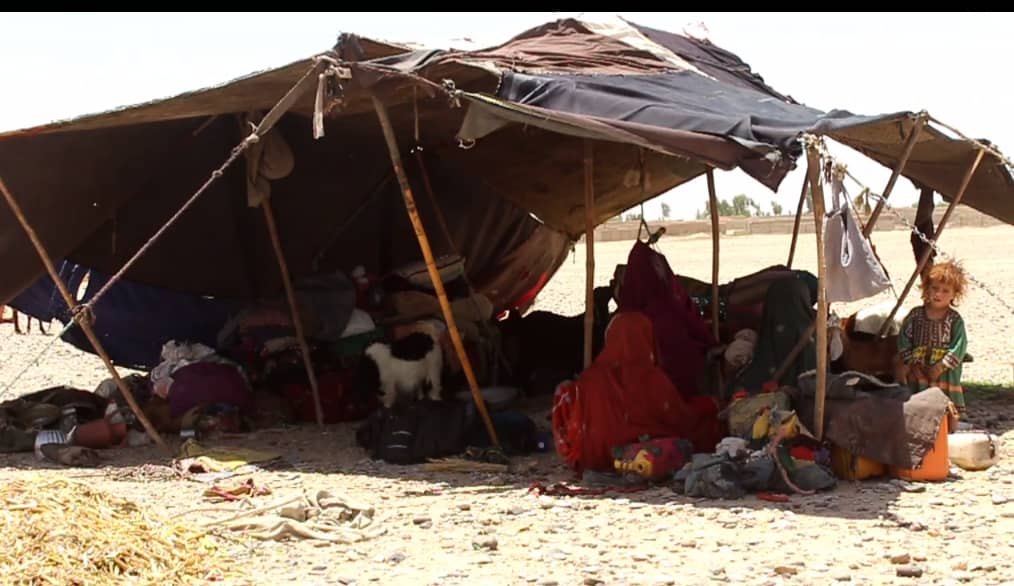 Helmand Kochis ask govt for shelter, pastures