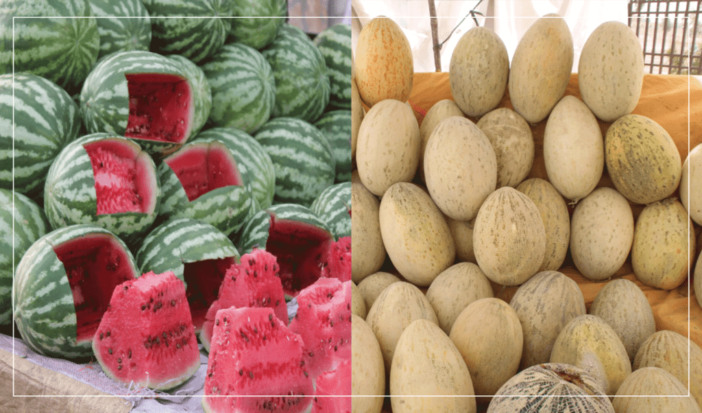 Kandahar melon, watermelon yield down by 25pc