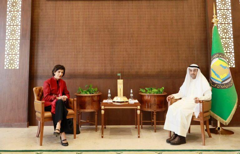 GCC stresses global role in stabilising Afghanistan