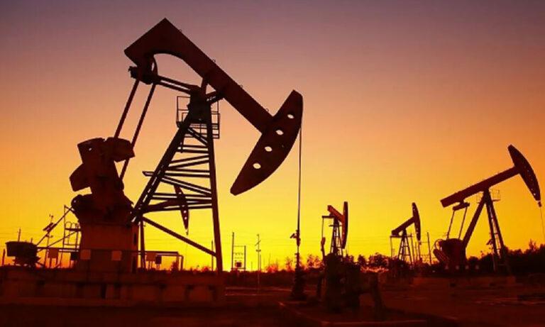 Kabul offers to trade minerals for Russian fuel