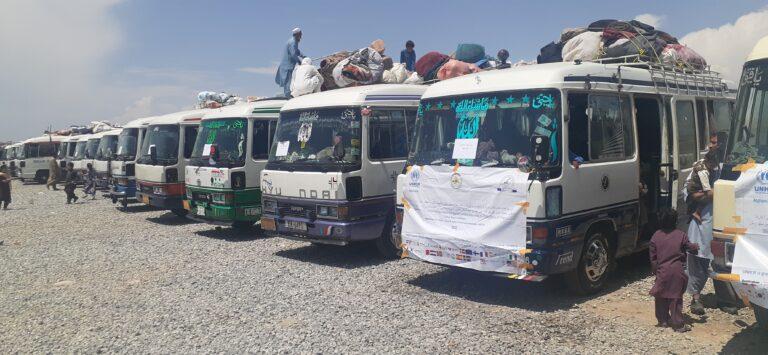 9000 IDP families sent back to own areas from Kabul in a year