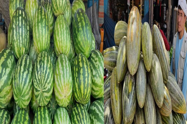 حاصلات خربوزه و تربوز در سمنگان کاهش اما قیمت‎‌های آن افزایش یافته است