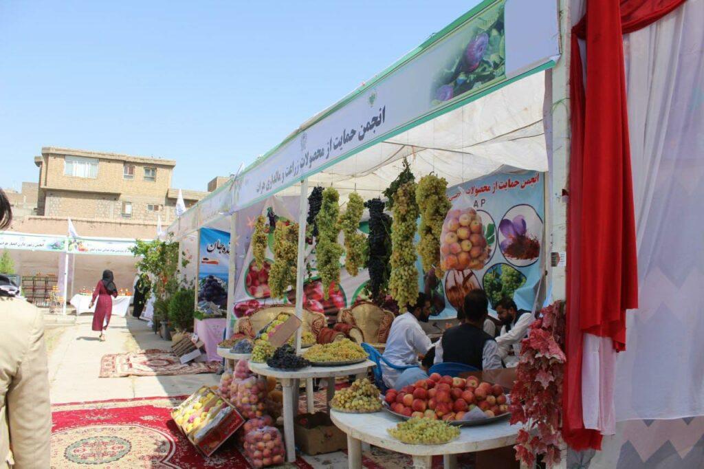 جشنوارۀ انگور، عسل و انجیر در هرات برگزار شد