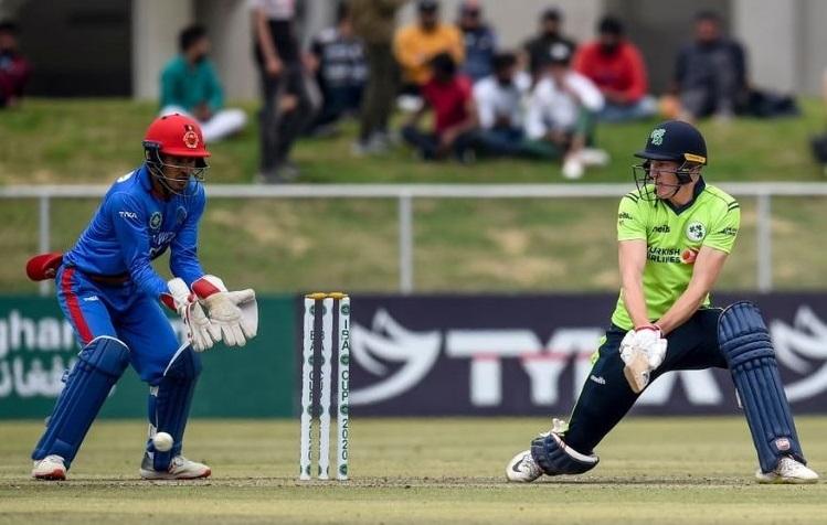 Ireland rout Afghanistan to clinch T20 series