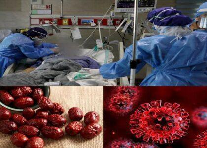 Jujube boosts immune system: Medical experts